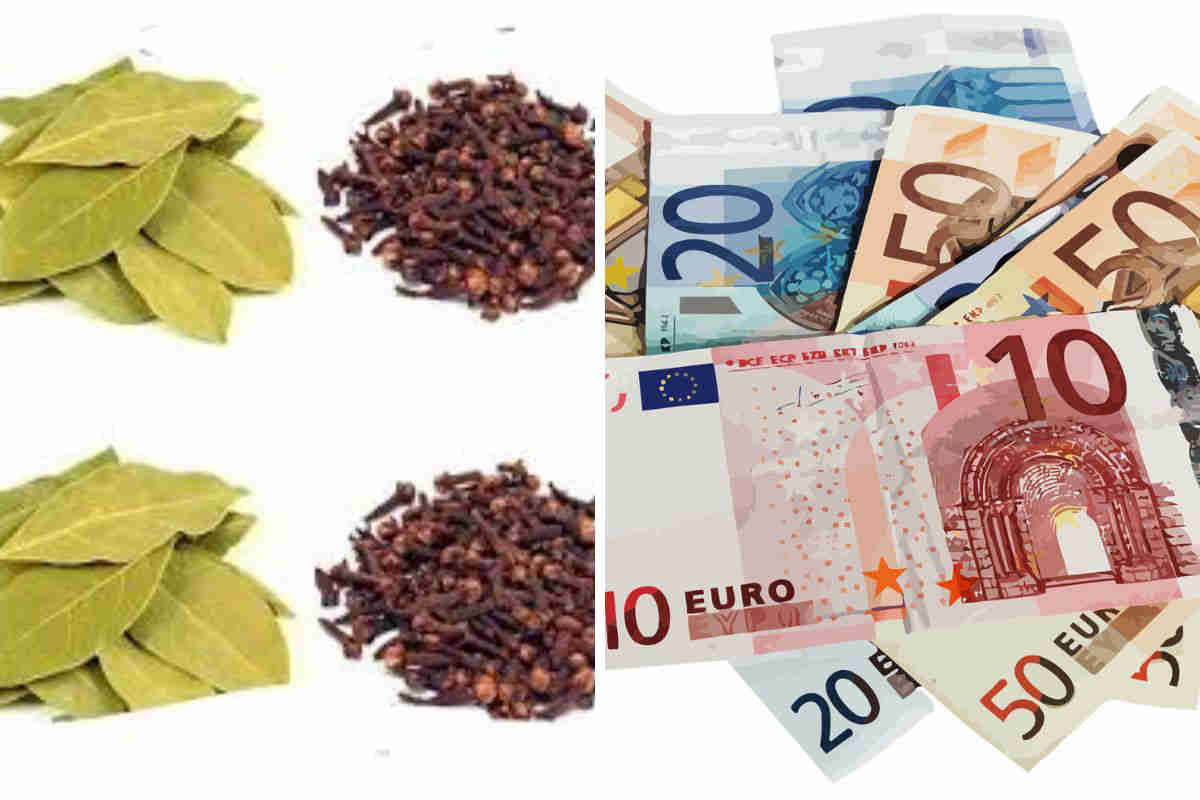 3 secrets avec le clou de girofle et feuille de laurier pour attirer l&rsquo;Argent