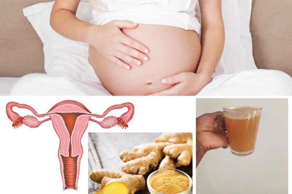 Guide complet pour nettoyer son utérus et augmenter ses chances de tomber enceinte naturellement