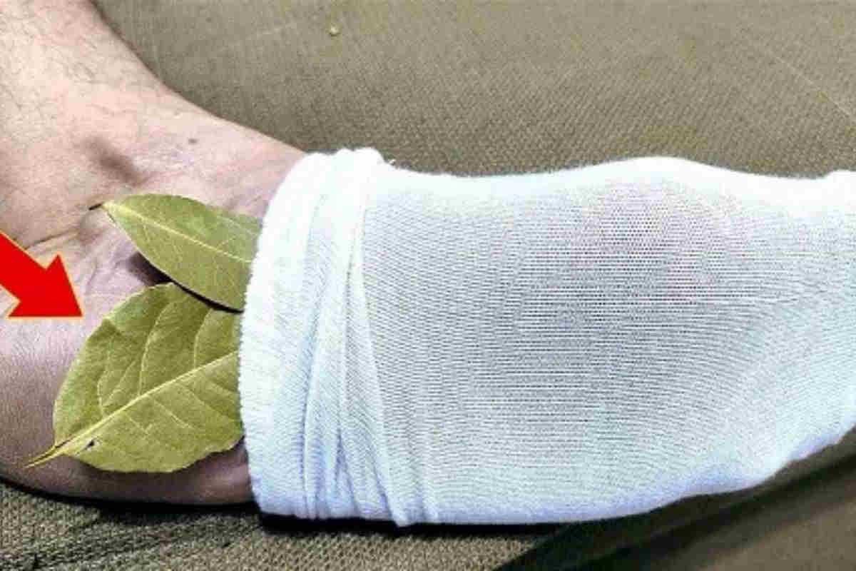 7 raisons de mettre une feuille de laurier dans les chaussettes avant de dormir