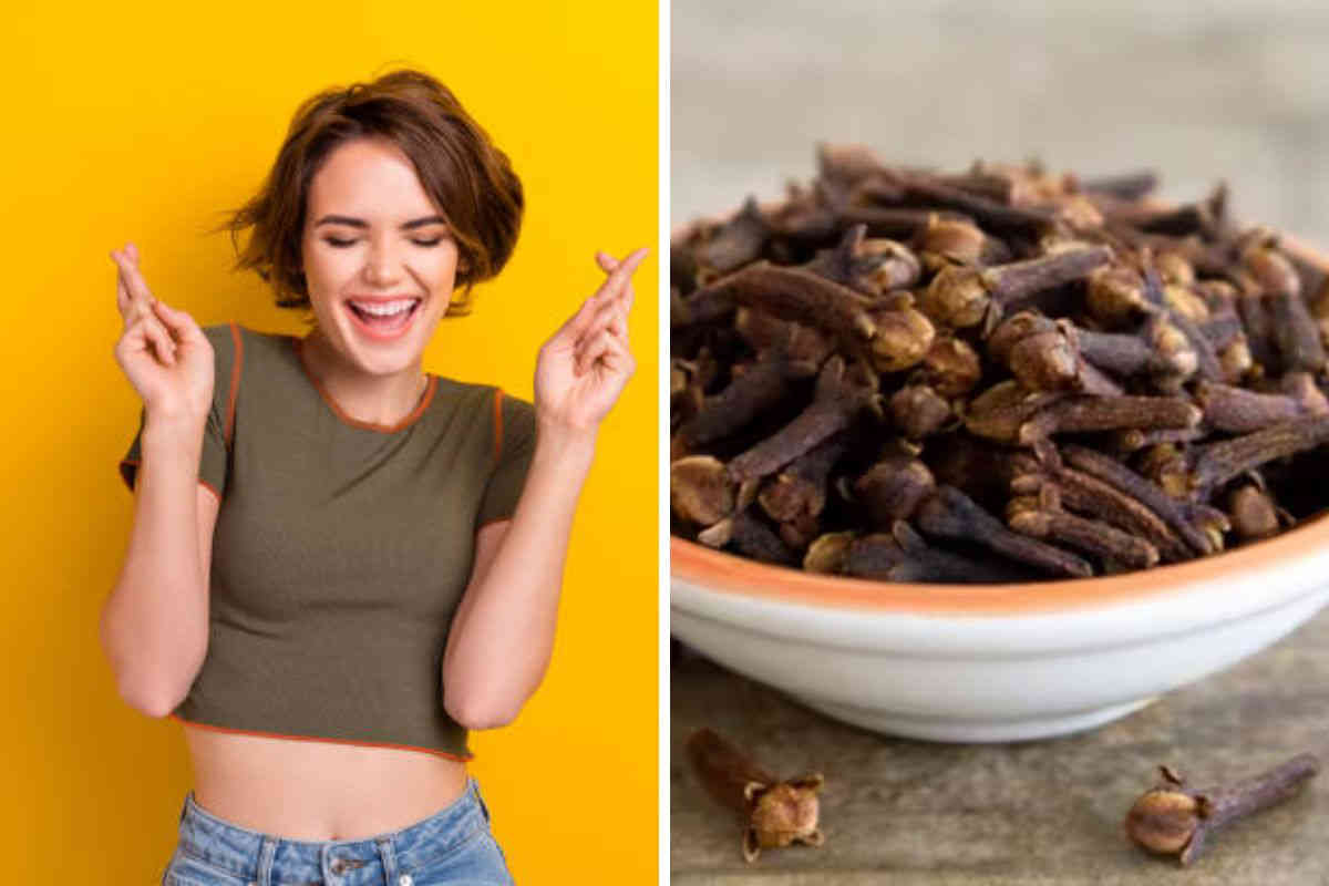 Découvrez comment utiliser les Clous de Girofle pour attirer la chance dans votre vie