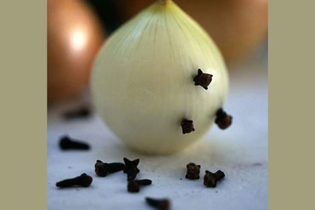 Voici 5 raisons de mettre des clous de girofle dans un oignon