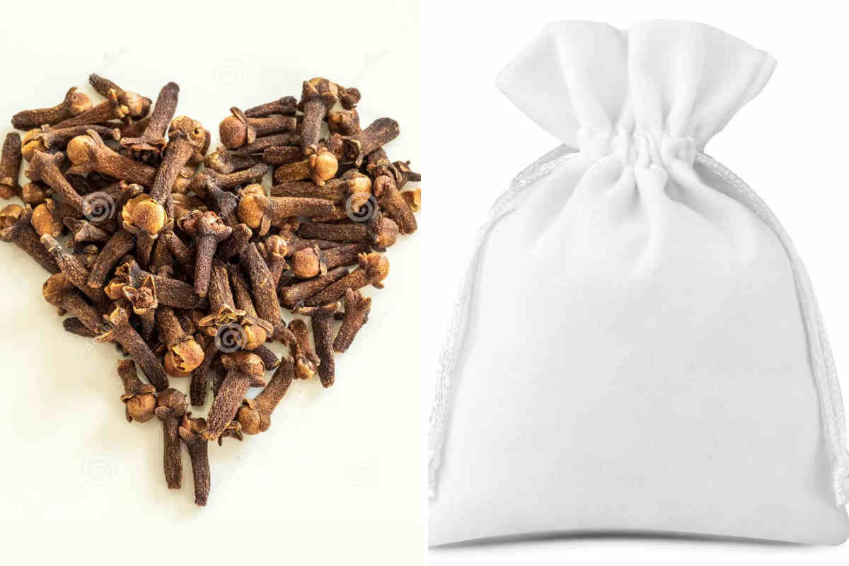 Voici comment fabriquer une amulette d&rsquo;amour avec le clou de girofle pour savoir si une personne nous aime