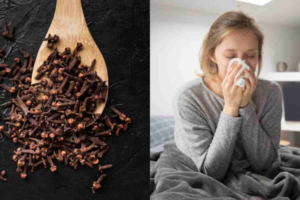 10 raisons de consommer les clous de girofle pendant l&rsquo;hiver