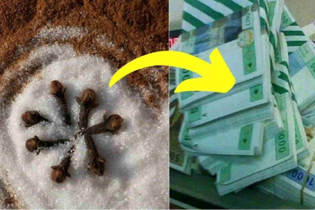 Les secrets du clou de girofle pour attirer l&rsquo;argent : guide simple et efficace