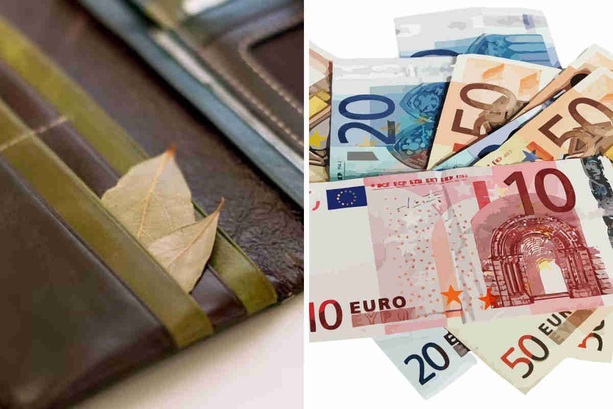 Feuille de laurier dans le porte-monnaie : un rituel puissant pour attirer l’argent