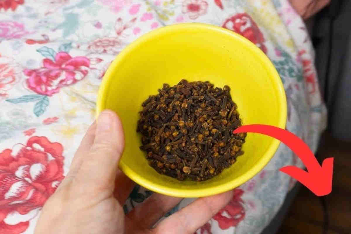 Ils ont mis des clous de girofle sous le lit. Voici ce qui est arrivé, et c’est surprenant