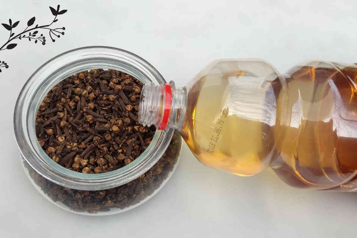 Mettez des clous de girofle dans du vinaigre et même vos voisins le sentiront !