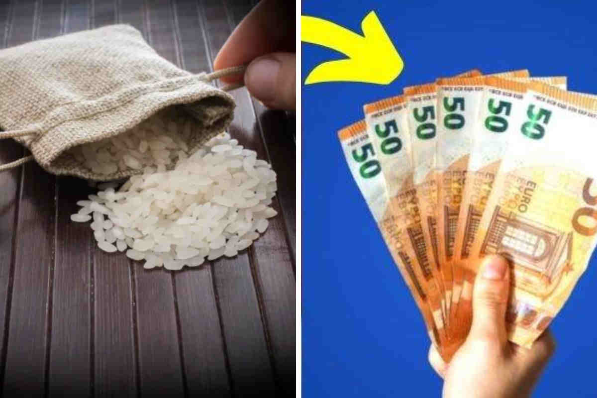 Le rituel des 7 grains de riz dans le portefeuille : une astuce simple pour attirer l’abondance