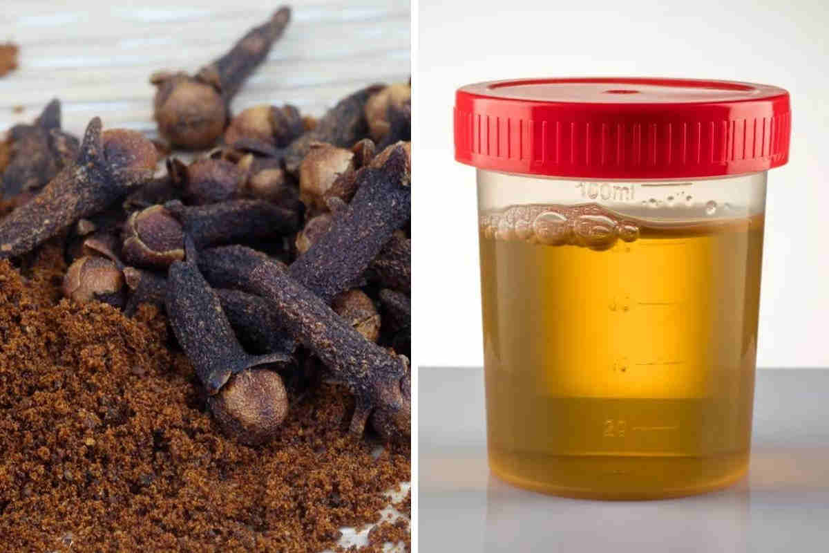 Urine matinale et clou de girofle : 9 secrets puissants pour attirer la chance et l’argent